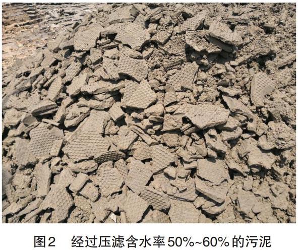 污泥无害化处理与资源化利用 生产烧结砖技术